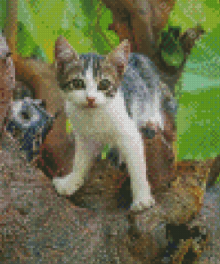 Tree Kitten Diamond Painting