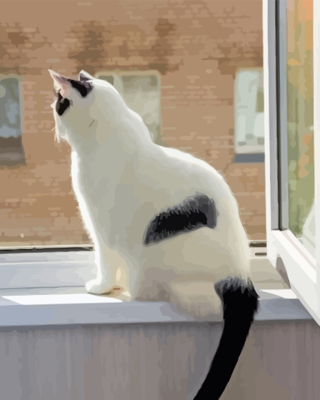 White Cat With Black Tail In Window Diamond Painting