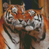 Wild Tigers In Love Diamond Painting