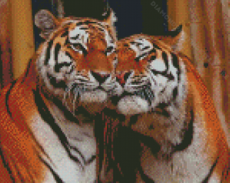 Wild Tigers In Love Diamond Painting