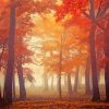 Autumn Forest Trees In Fog Diamond Painting