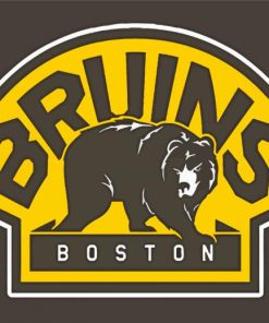 Boston Bruins Diamond Painting