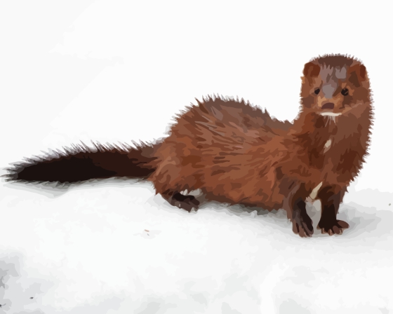Brown Mink In Snow Diamond Painting