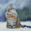 Cat Animal In Snow Diamond Painting