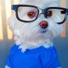 Cute Dog Wearing Glasses Diamond Painting