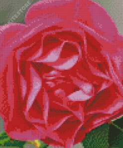 Fairy Tale Rose Diamond Painting