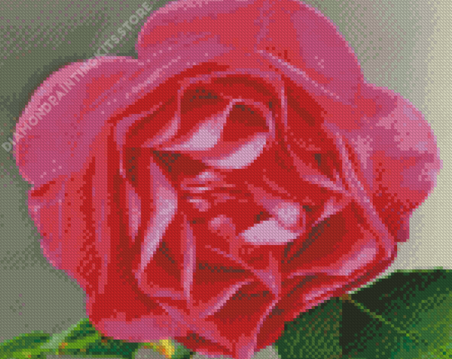 Fairy Tale Rose Diamond Painting