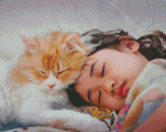 Girl Sleeping With Pet Cat Diamond Painting