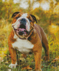 Happy Olde English Bulldogge Diamond Painting