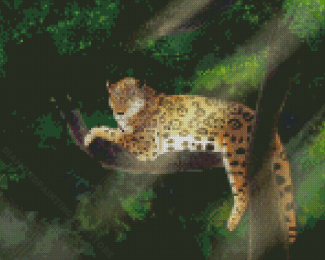 Leopard In Tree Diamond Painting