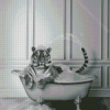 Tiger Animal In Tub Diamond Painting