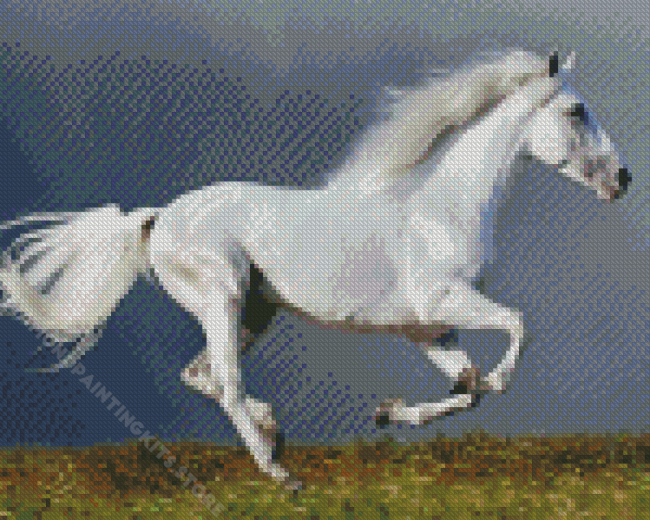 White Horse Diamond Painting