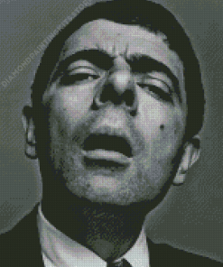 Black And White Mr Bean Movie Character From Diamond Painting