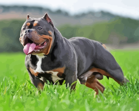 Black And Brown American Bully Diamond Painting