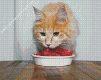 Cat With Meat Food 5D Diamond Painting