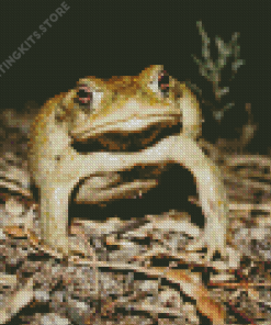 Green Angry Toad Diamond Painting