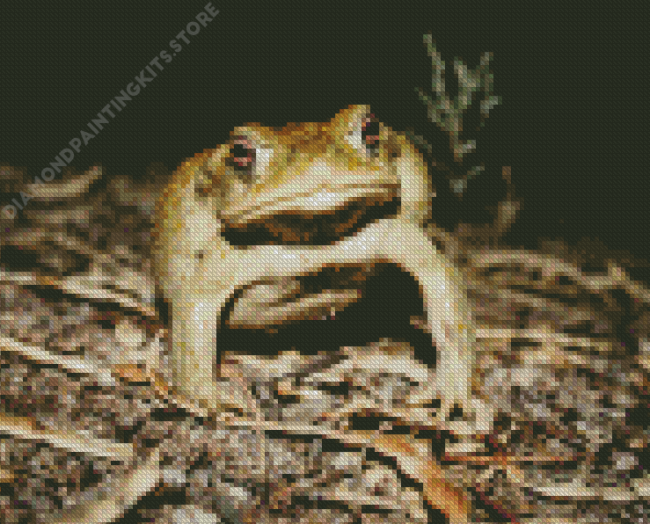 Green Angry Toad Diamond Painting