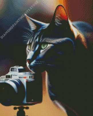Aesthetic Photograph Cat Diamond Painting