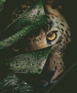 Aesthetic Tiger Eyes Diamond Painting
