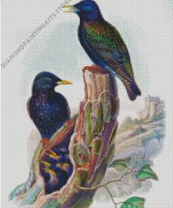 Starling Birds Art Diamond Painting