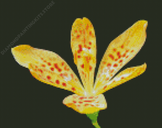 Yellow Leopard Flower Diamond Painting