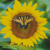 Yellow Sunflower Butterfly Diamond Painting