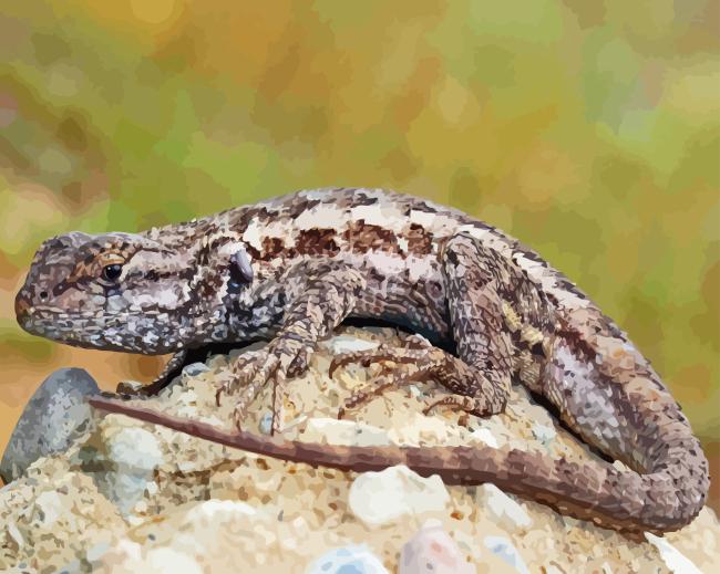 Western Desert Gecko 5D Diamond Painting