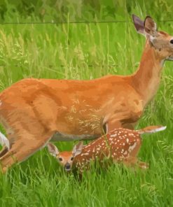 White Tailed Deer Doe And Fawn 5D Diamond Painting