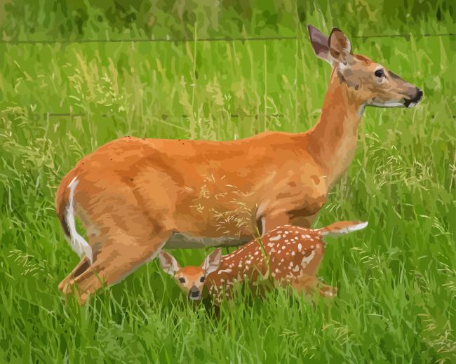 White Tailed Deer Doe And Fawn 5D Diamond Painting