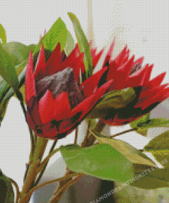 Blooming King Protea 5D Diamond Painting