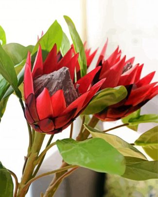 Blooming King Protea 5D Diamond Painting
