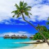Bora Bora Island Beach Palm Trees Diamond Painting