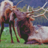 Elk Animals 5D Diamond Painting