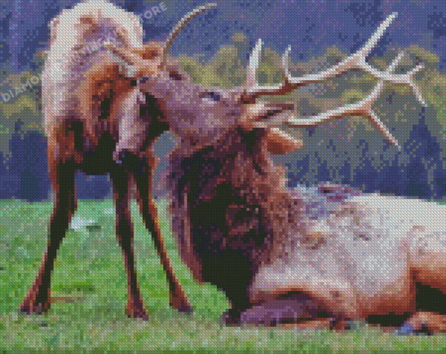 Elk Animals 5D Diamond Painting