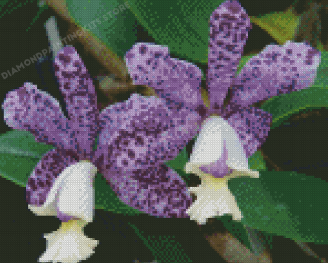 Purple Tiger Orchid Diamond Painting
