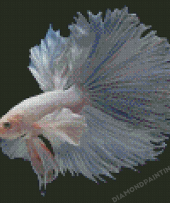 Gray Betta Fish Diamond Painting