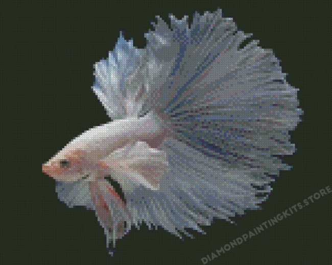 Gray Betta Fish Diamond Painting