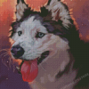 Husky Dog Diamond Painting