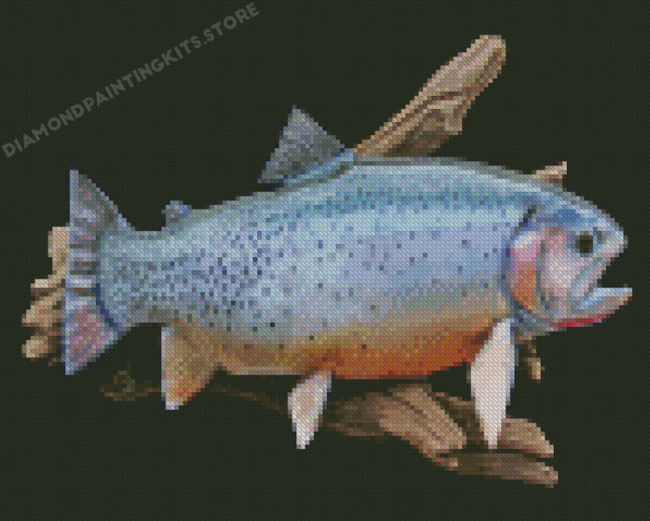 Cutthroat Trout Fish Diamond Painting