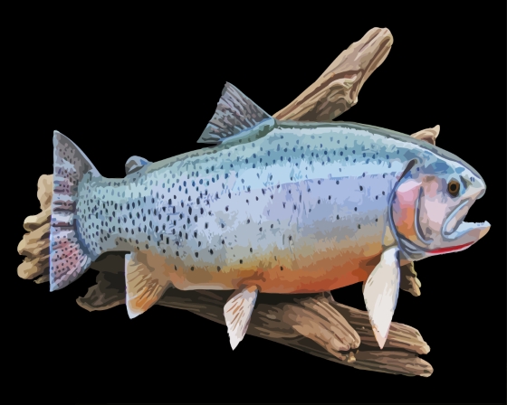 Cutthroat Trout Fish Diamond Painting