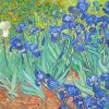 Iries Vincent Van Gogh 5D Diamond Painting