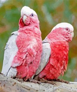Pink Couple Cockatoos 5D Diamond Painting