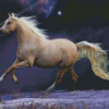 Running Stallion Horse Diamond Painting