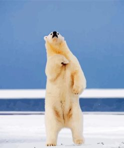 Dancing Polar Bear Diamond Painting