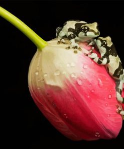 Frogs on Tulip Diamond Painting