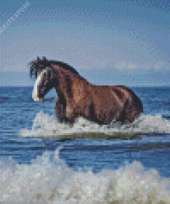 Horse At Beach Diamond Painting