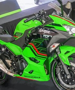 Ninja 250 Green Motorcycle Diamond Painting