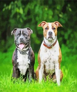 Staffordshire Terrier Dogs Diamond Painting