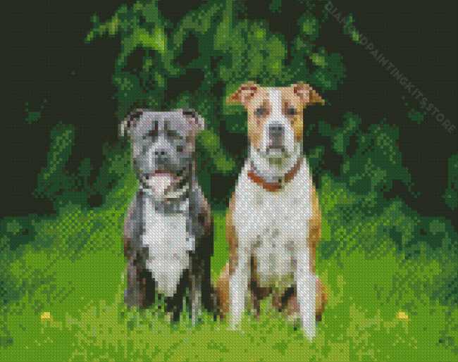 Staffordshire Terrier Dogs Diamond Painting