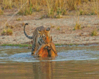 Tiger Hunting Diamond Painting